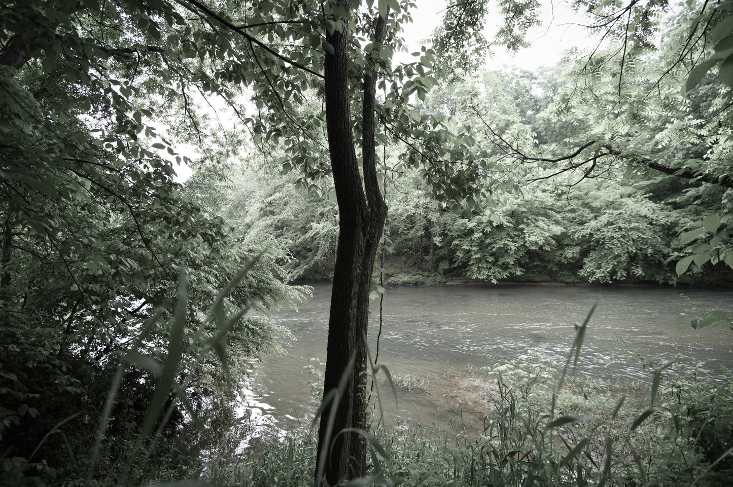 By the River