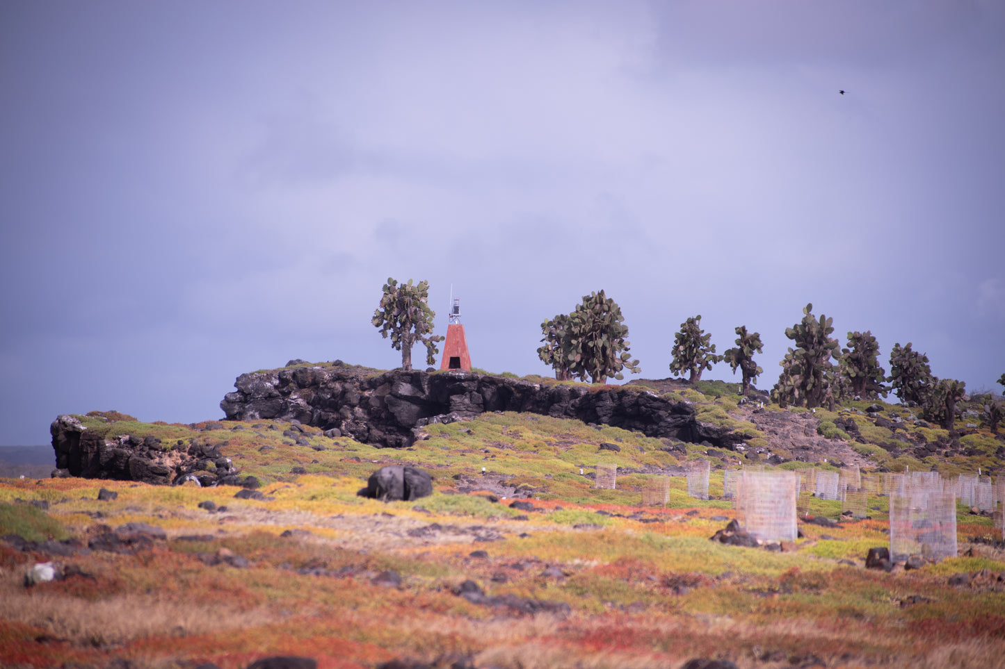 Outpost
