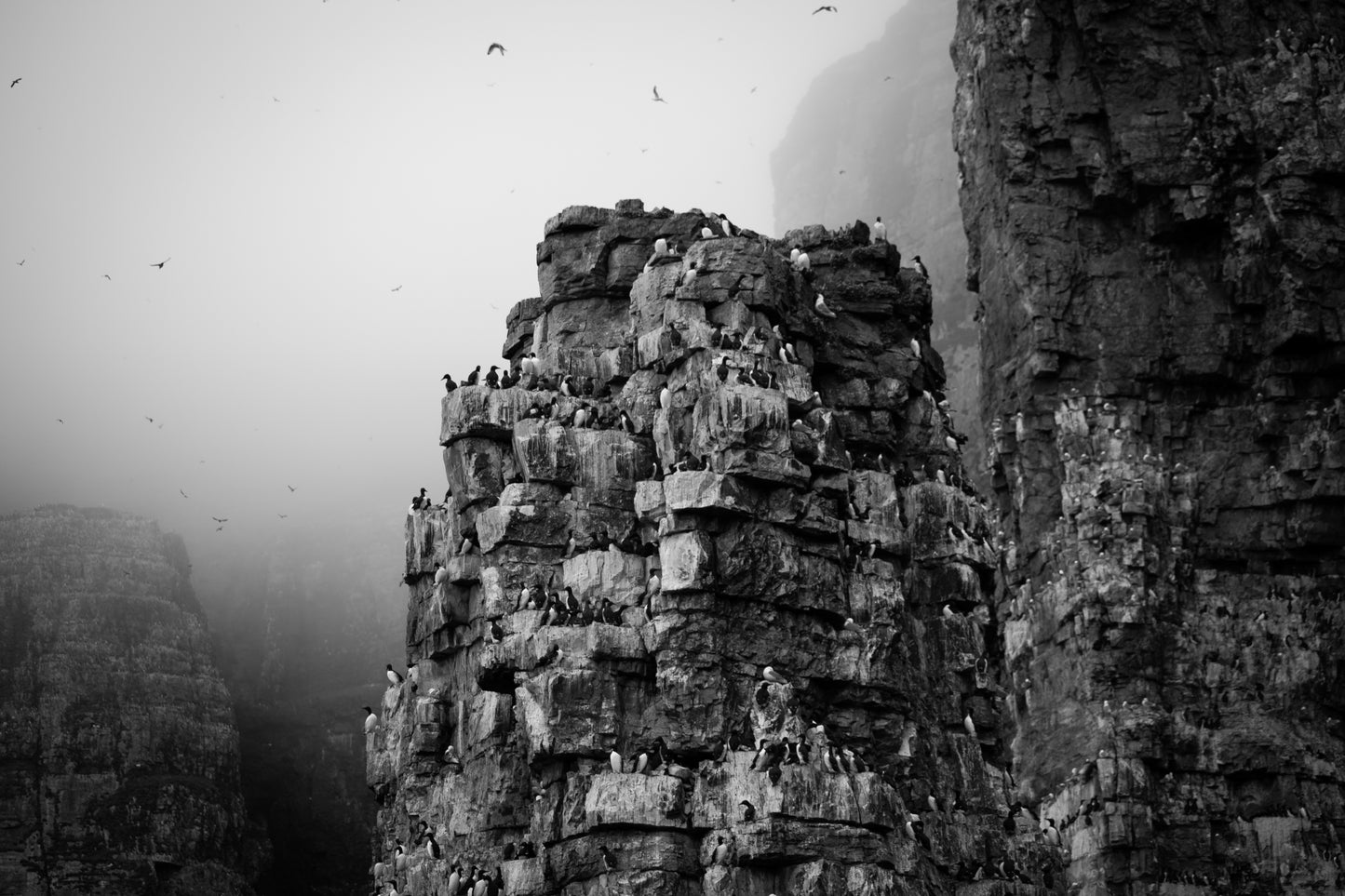 Monolith
