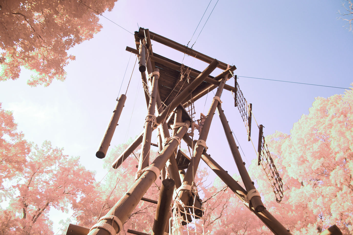 The Alpine Tower