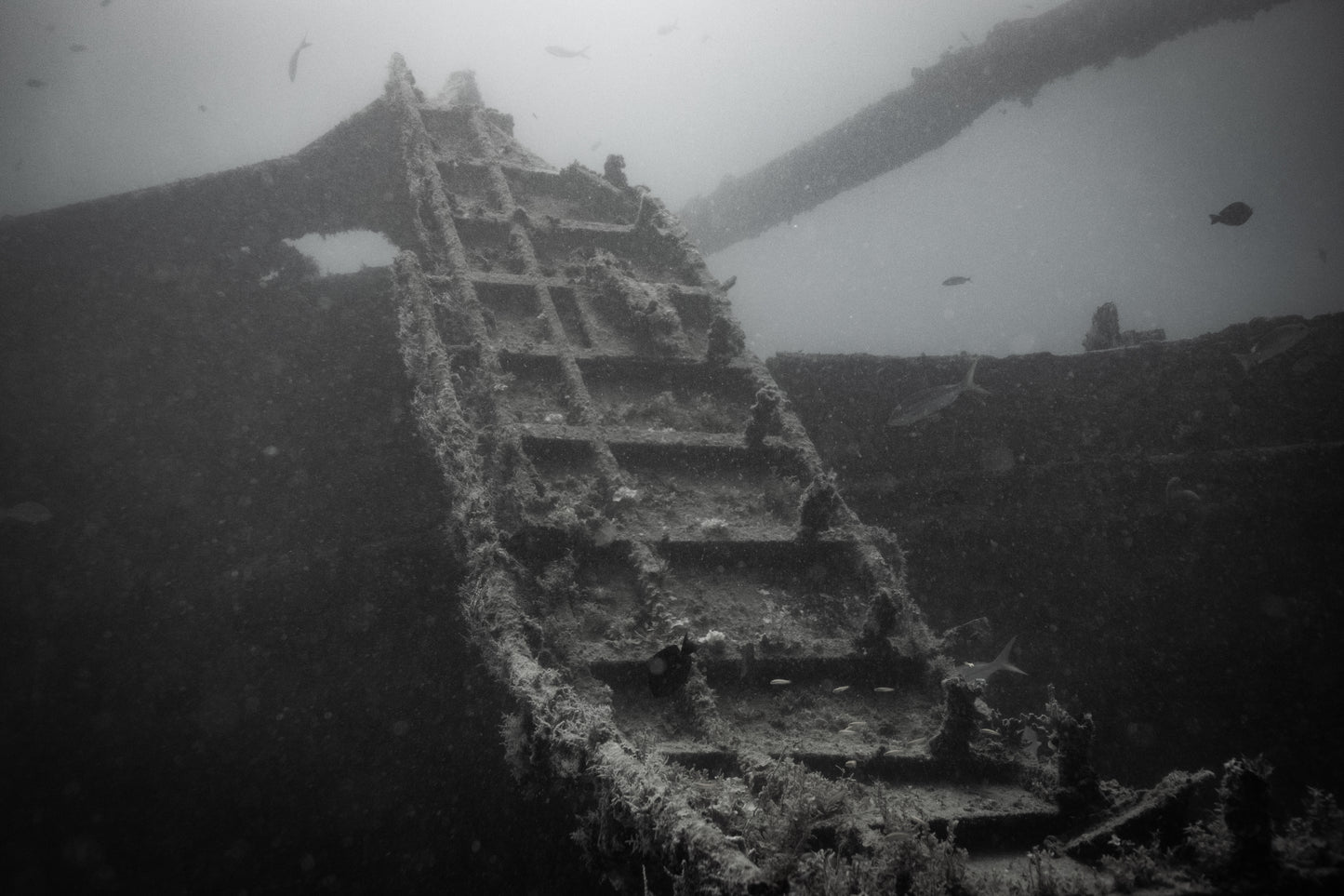 Monochrome Ascent