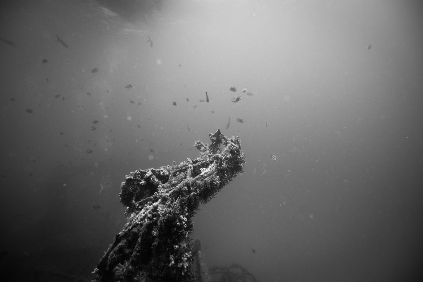 Trying to Find the Sun