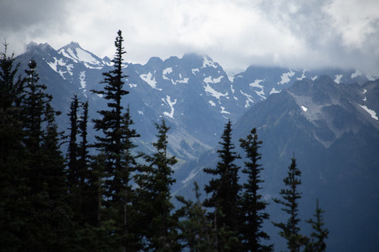 Hurricane Ridge