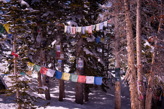 The Shrine