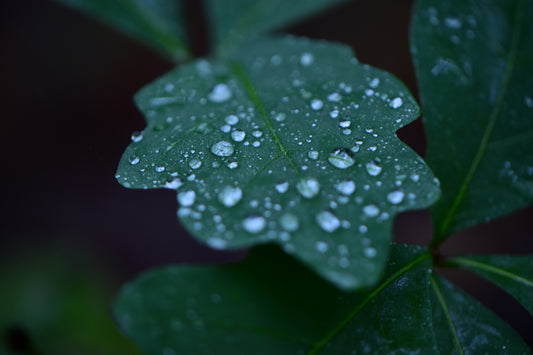 Condensation