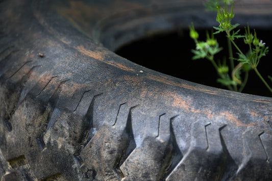 The Old Tire