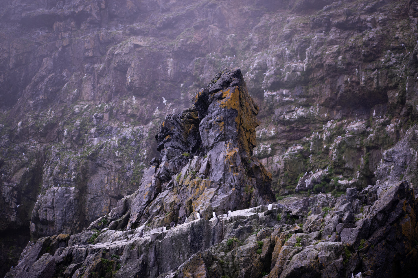 Spire in the Mist