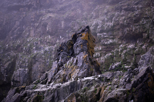 Spire in the Mist