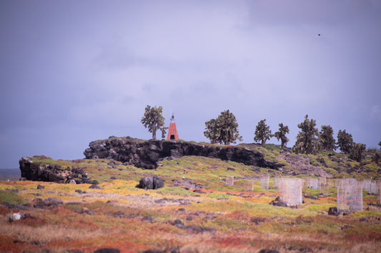 Outpost