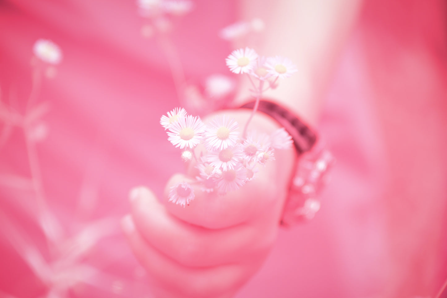 A Gift