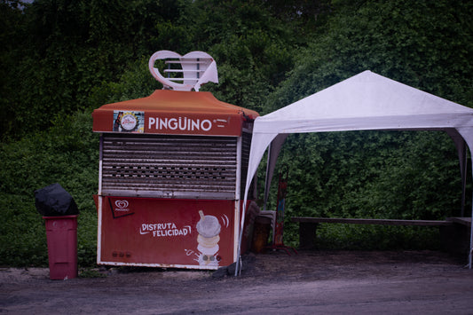 Pingüino