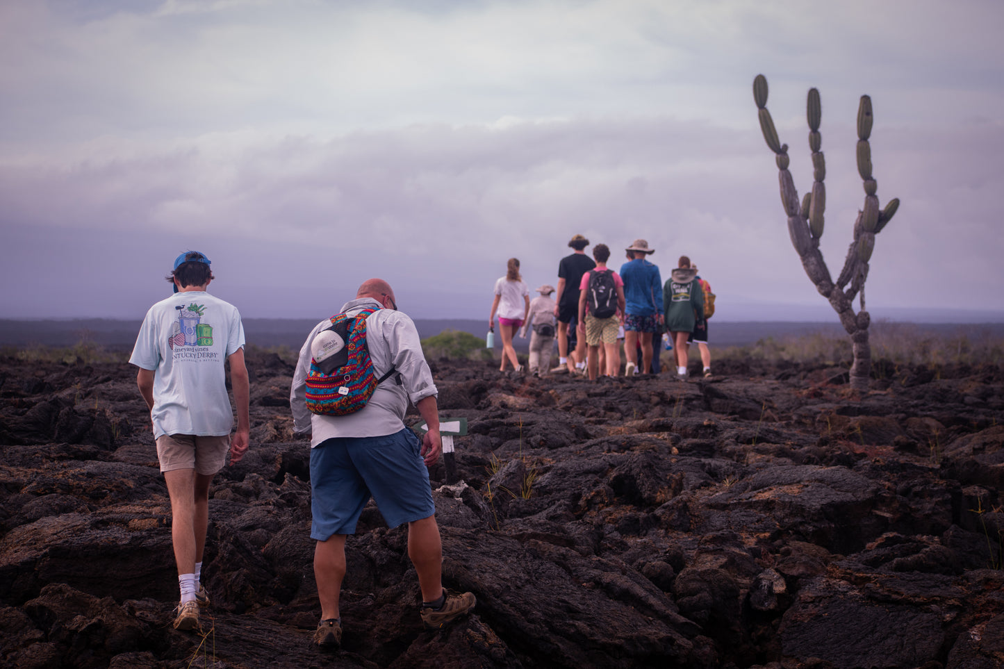 Lava Field