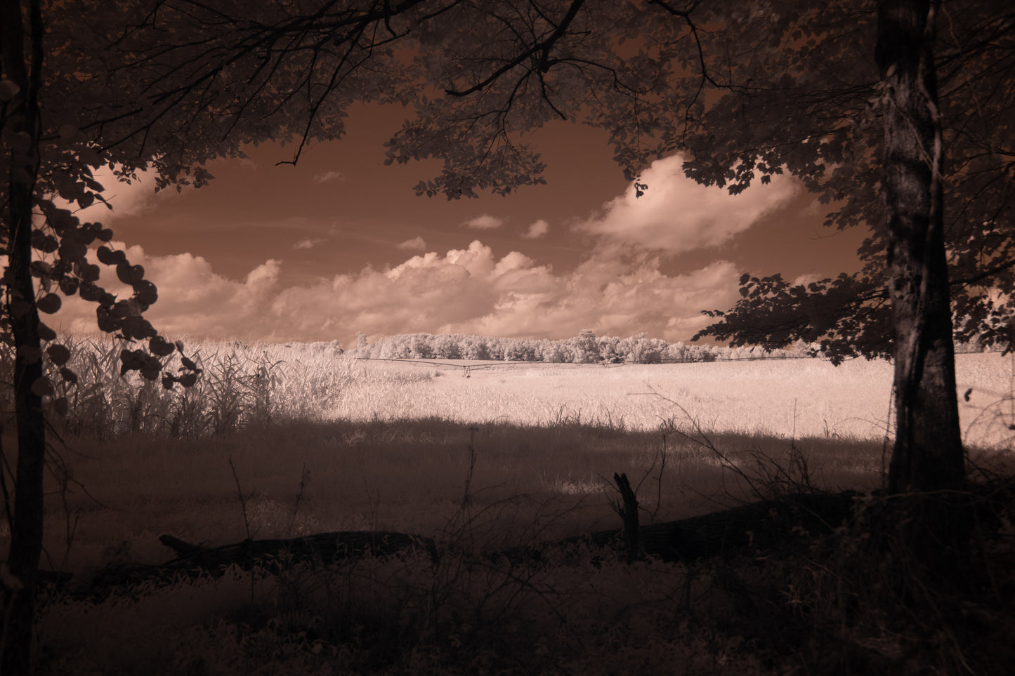 A Glimpse