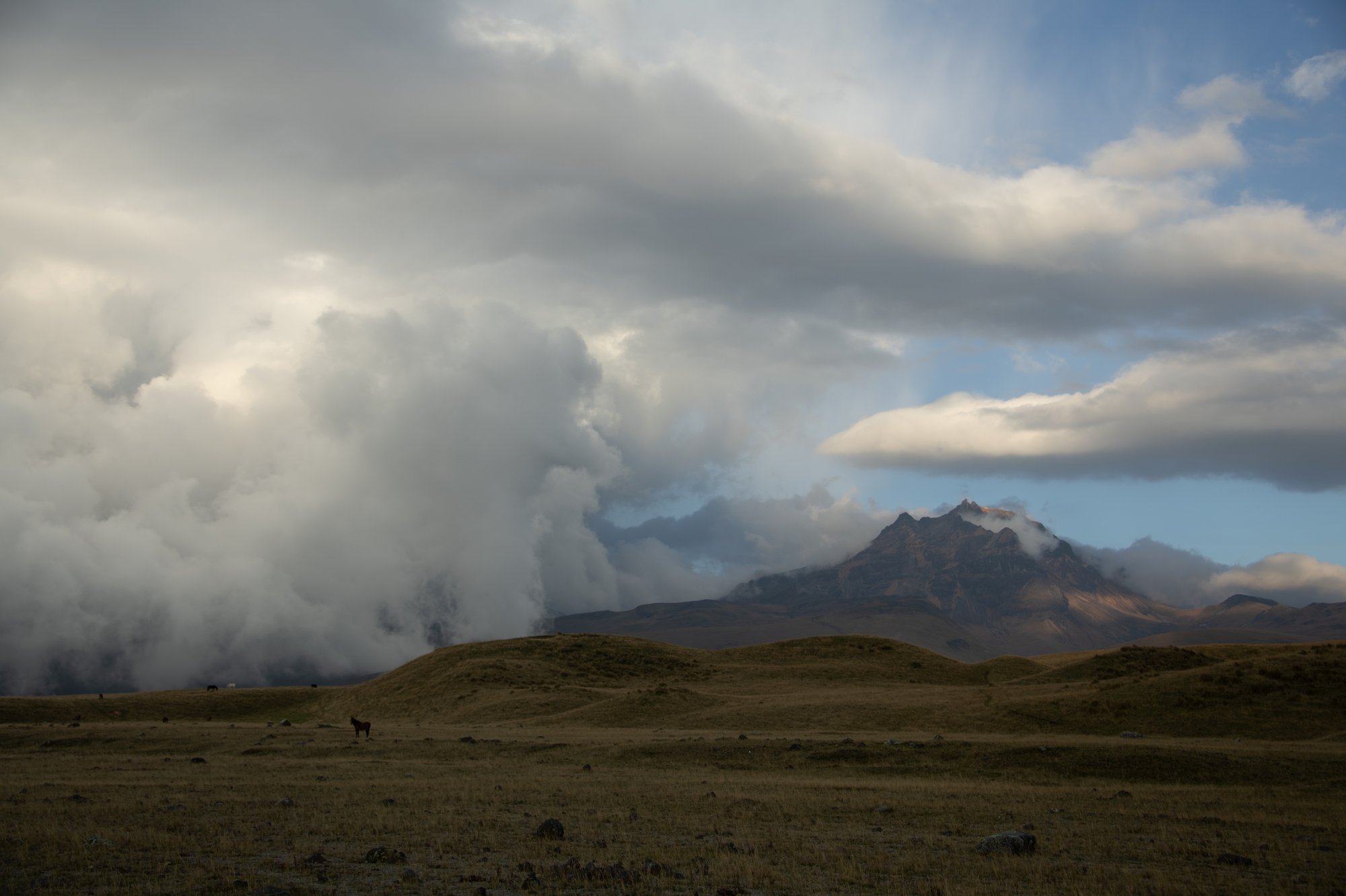 Cotopaxi Highlands II