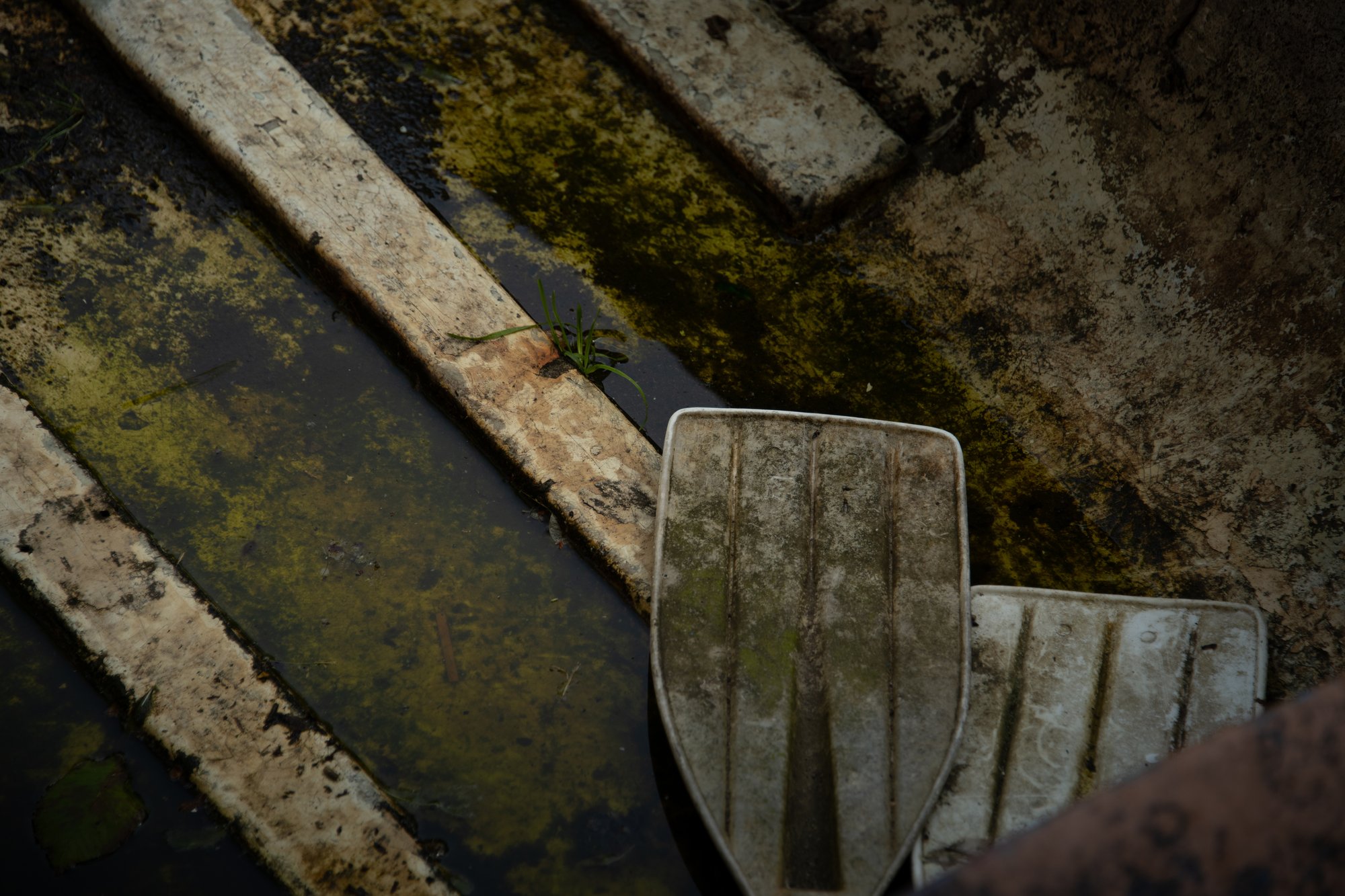 Forgotten Oars