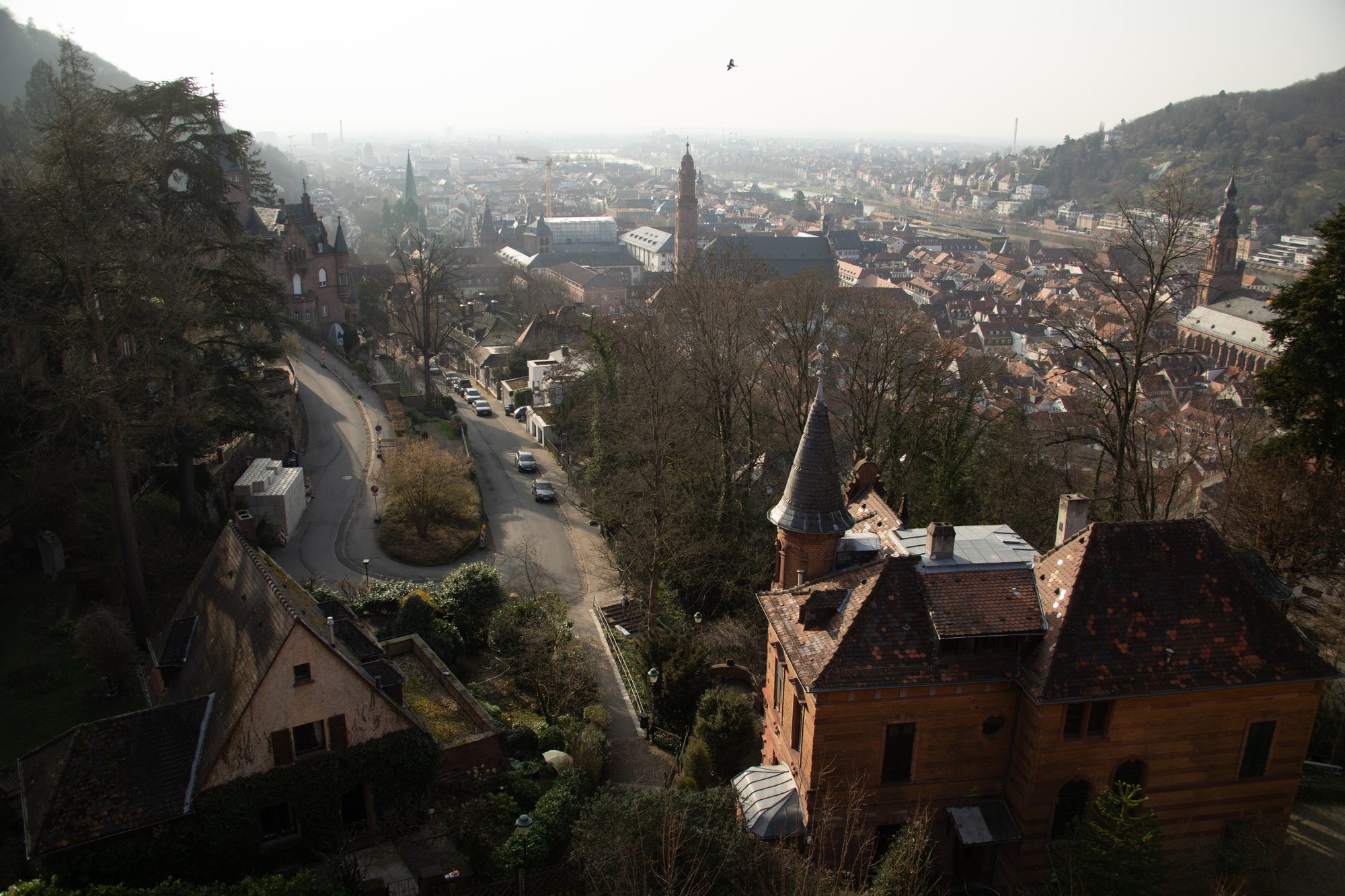 Heidelberg Vista