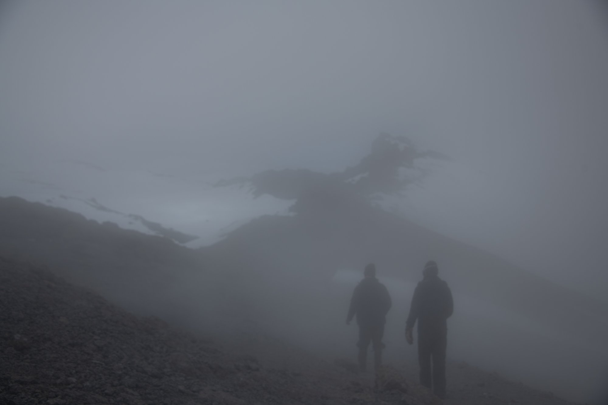 In Mist