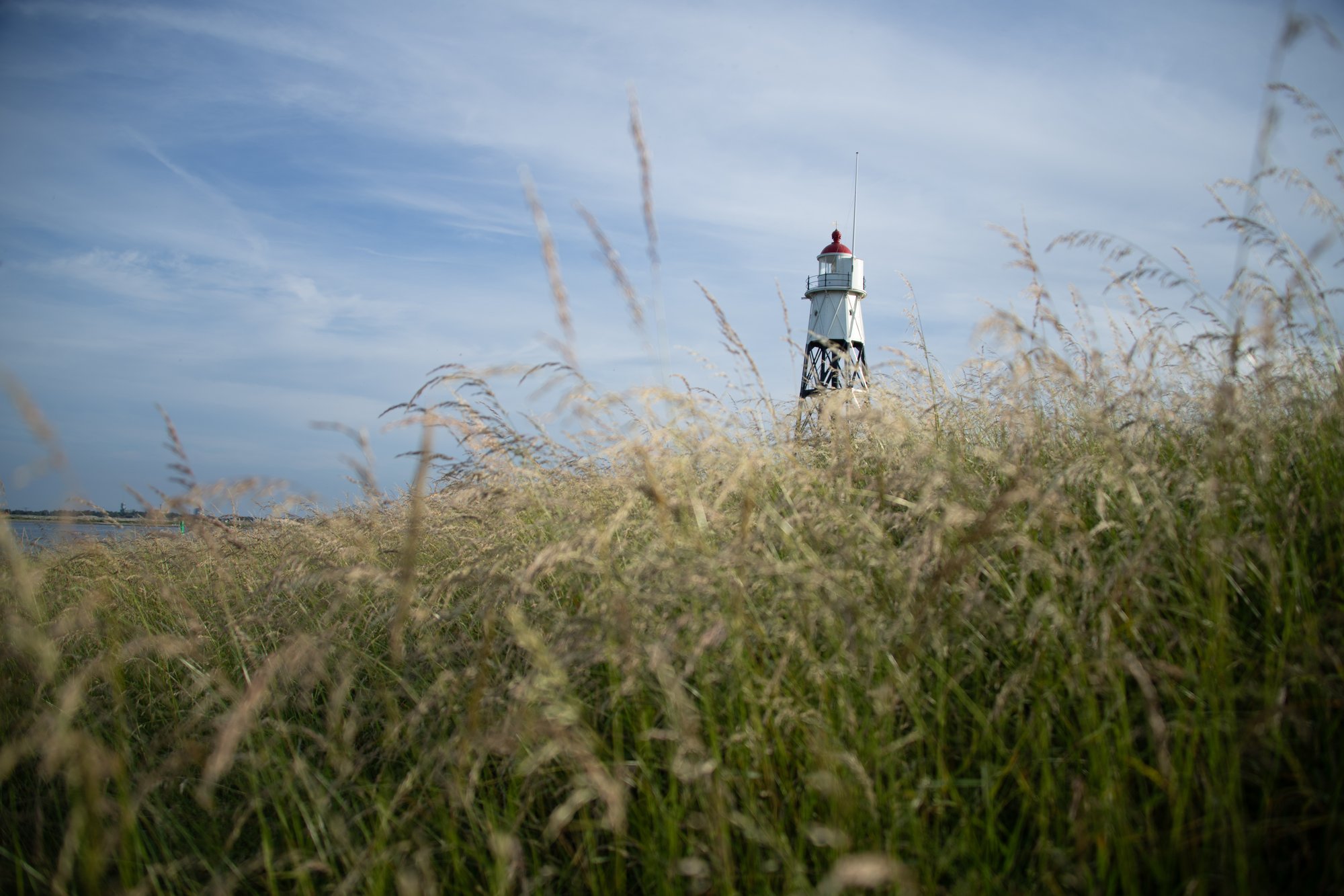 Lighthouse View