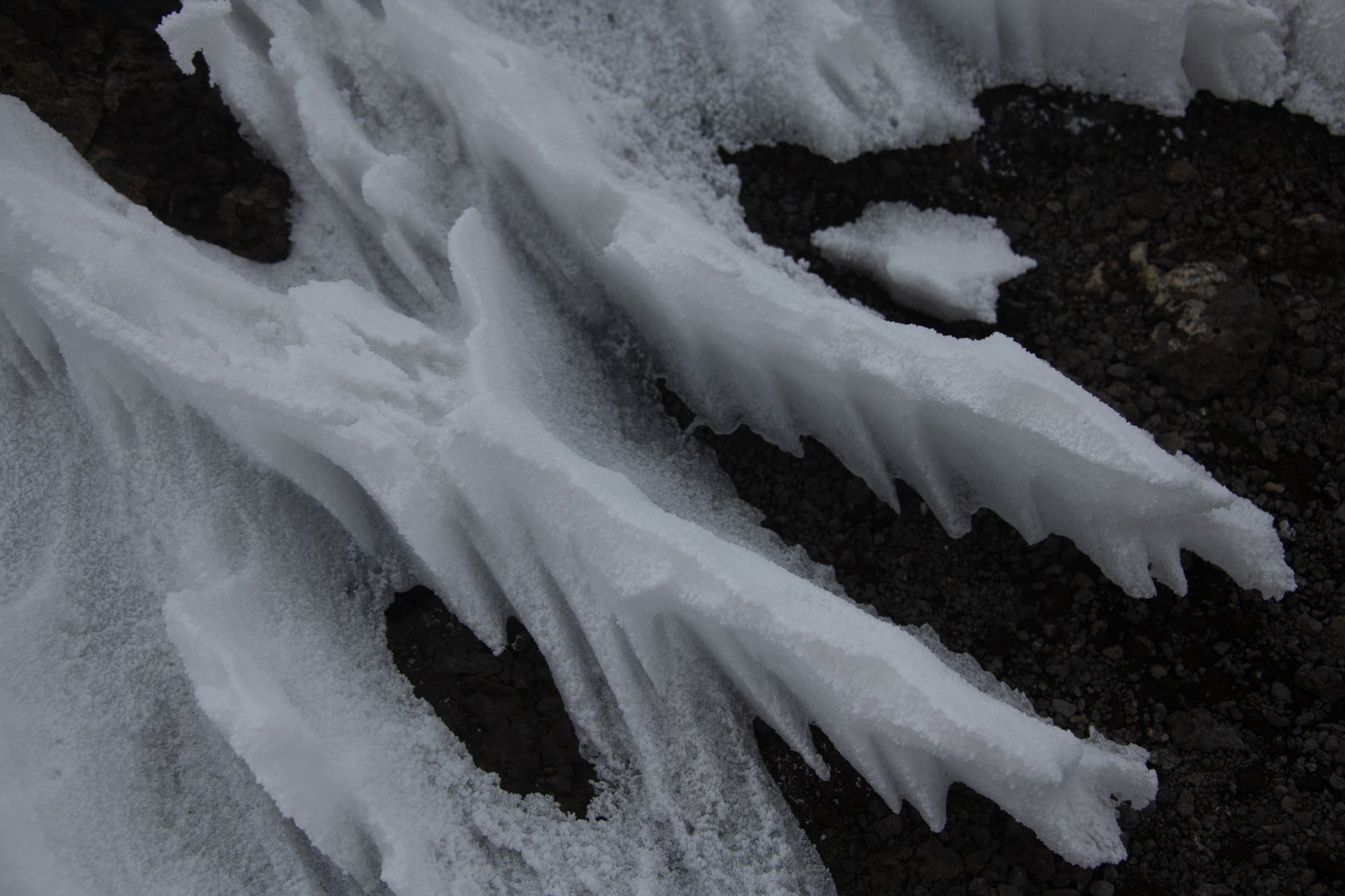 Penitentes