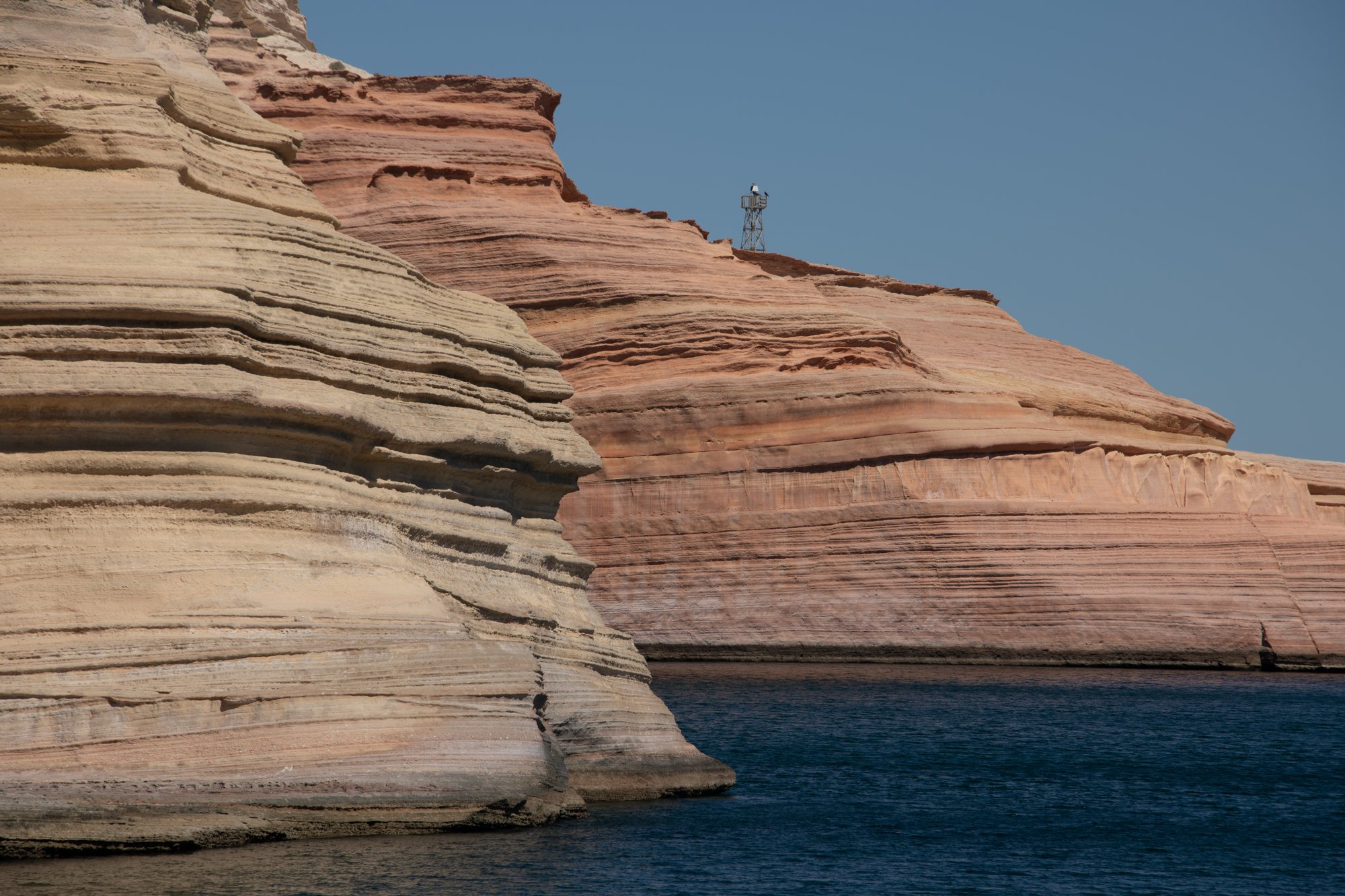 Sea Cliffs