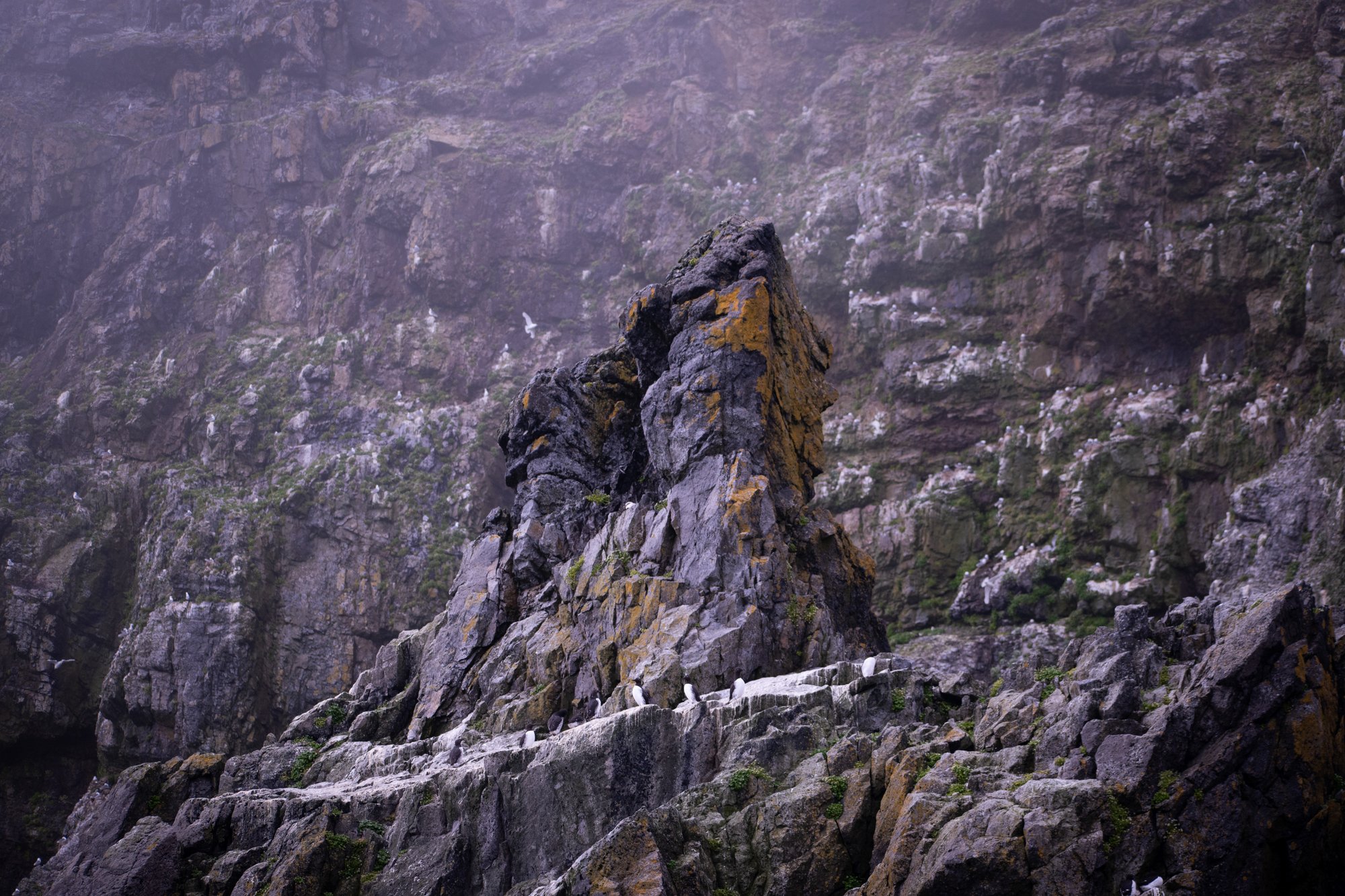 Spire in the Mist