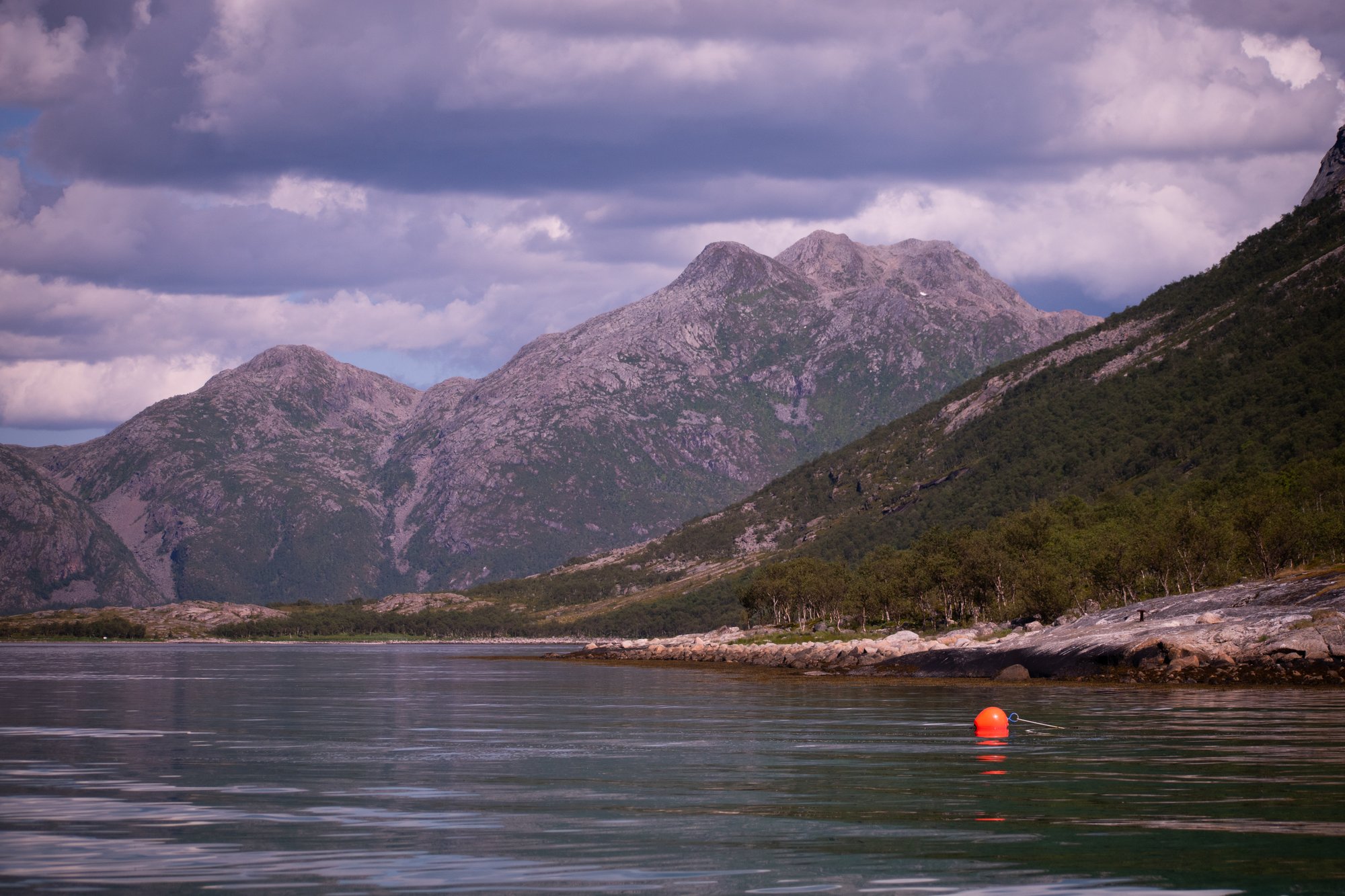 In the Fjords