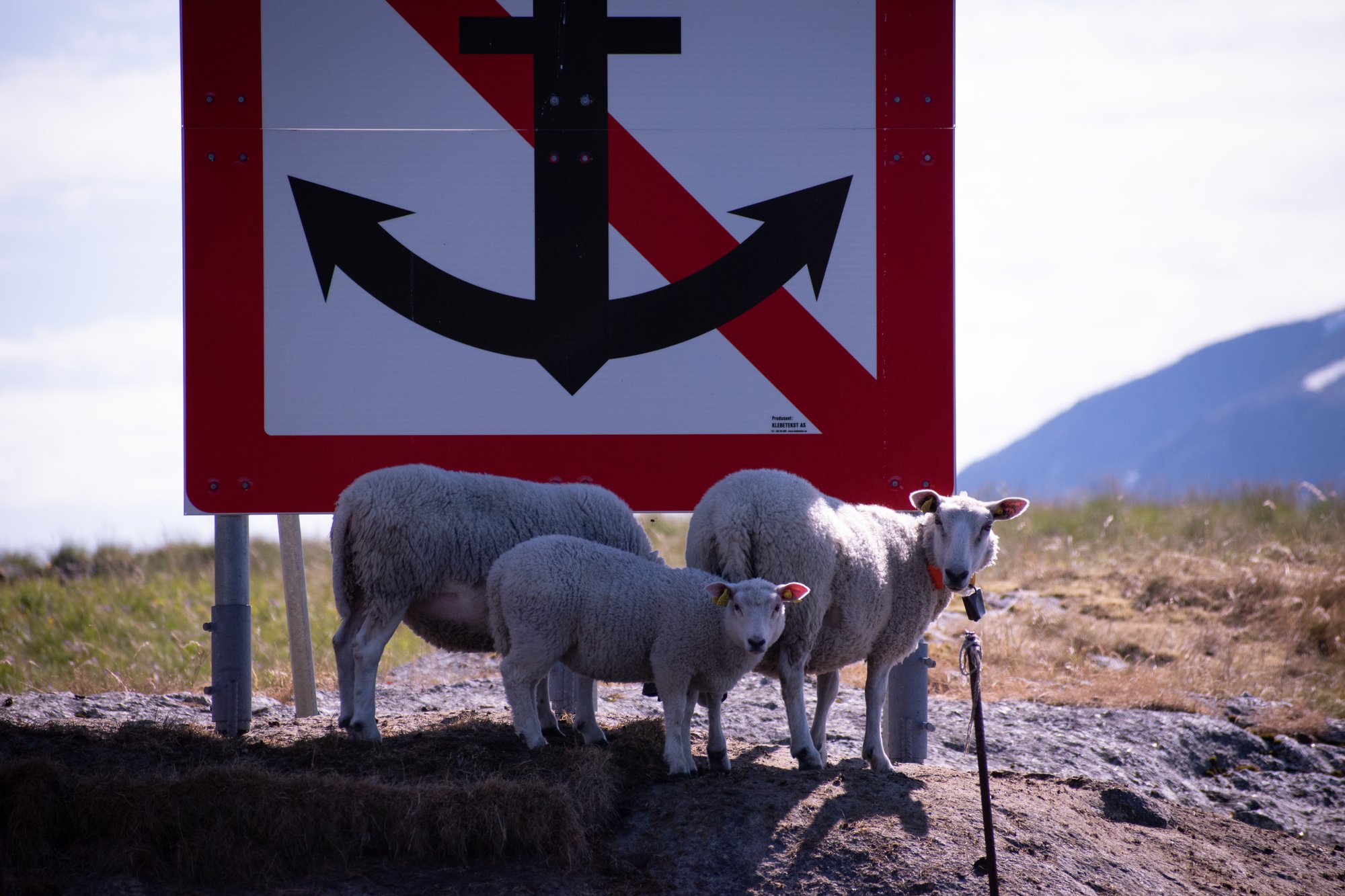 Anchors Prohibited
