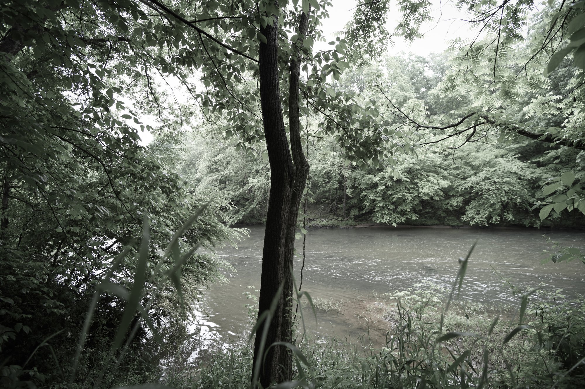 By the River