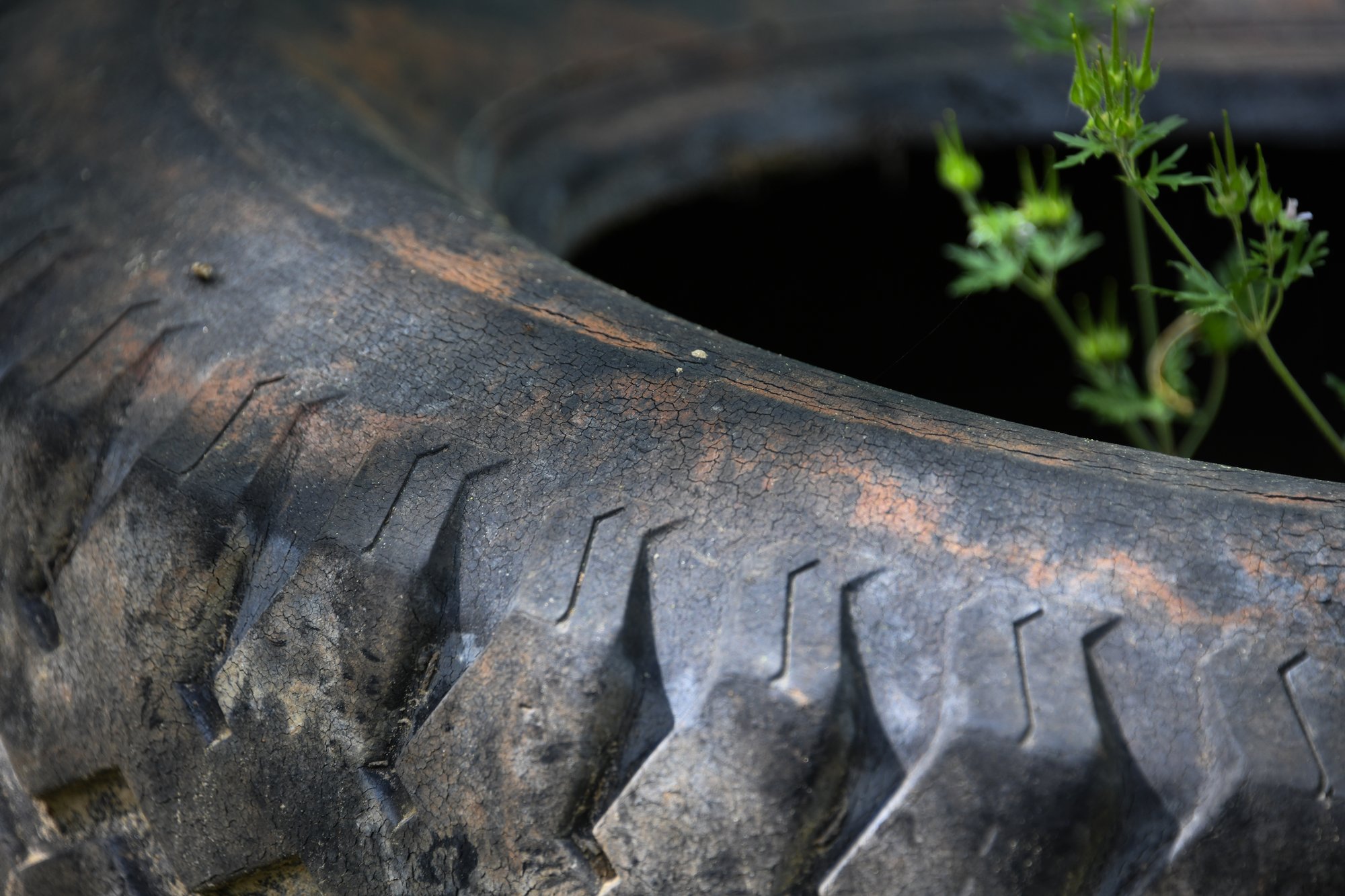The Old Tire