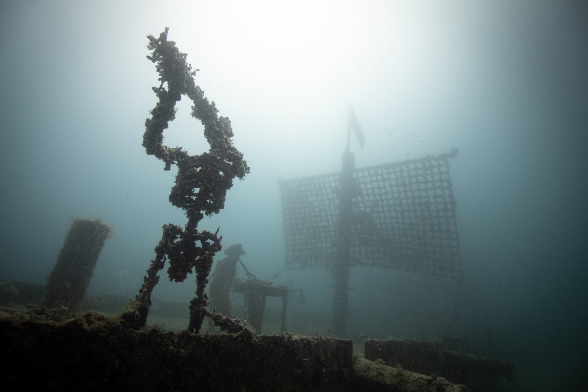 Bonaire, Belize, and the BVIs