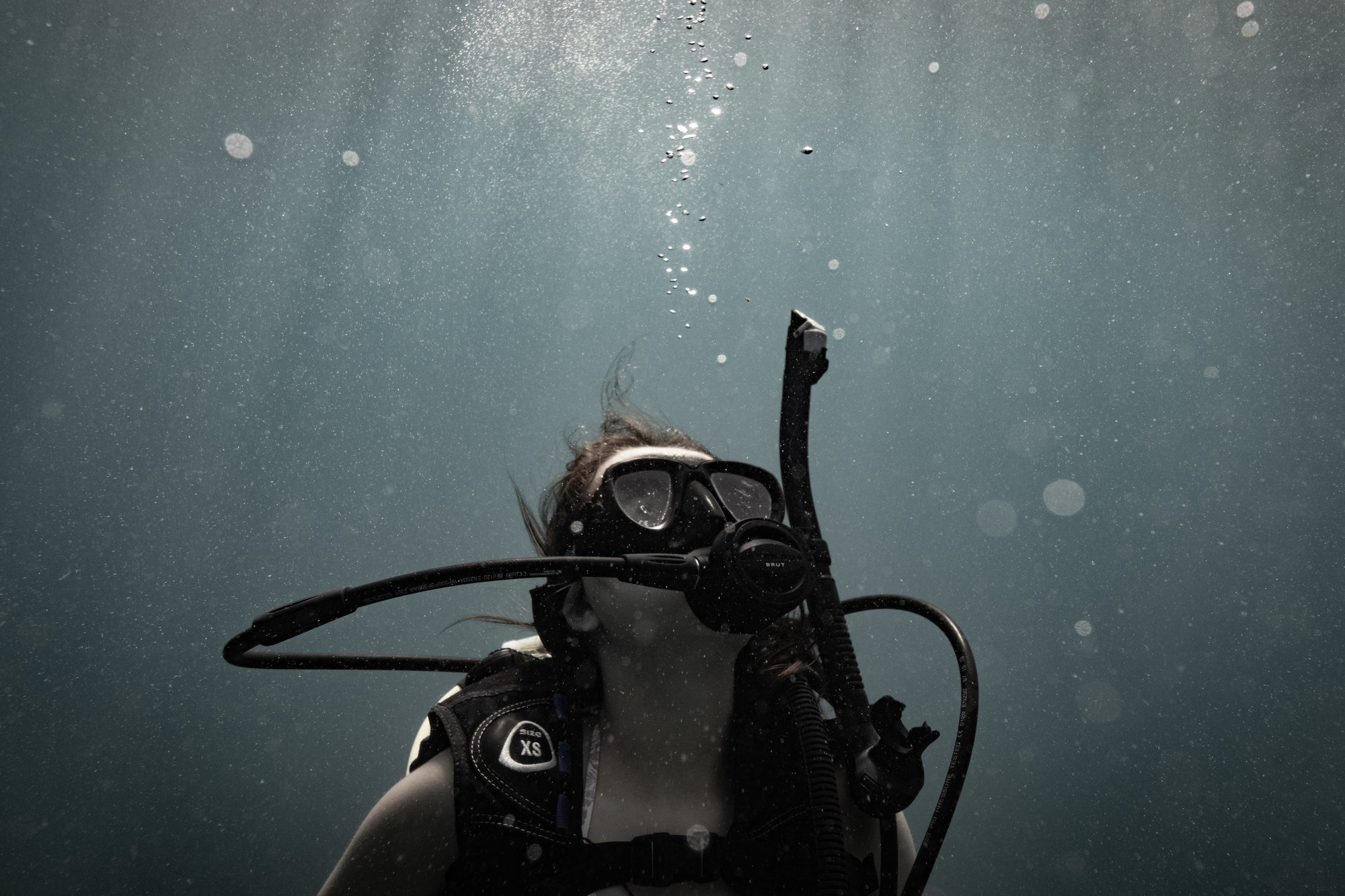 Marine Biology Work in the BVI