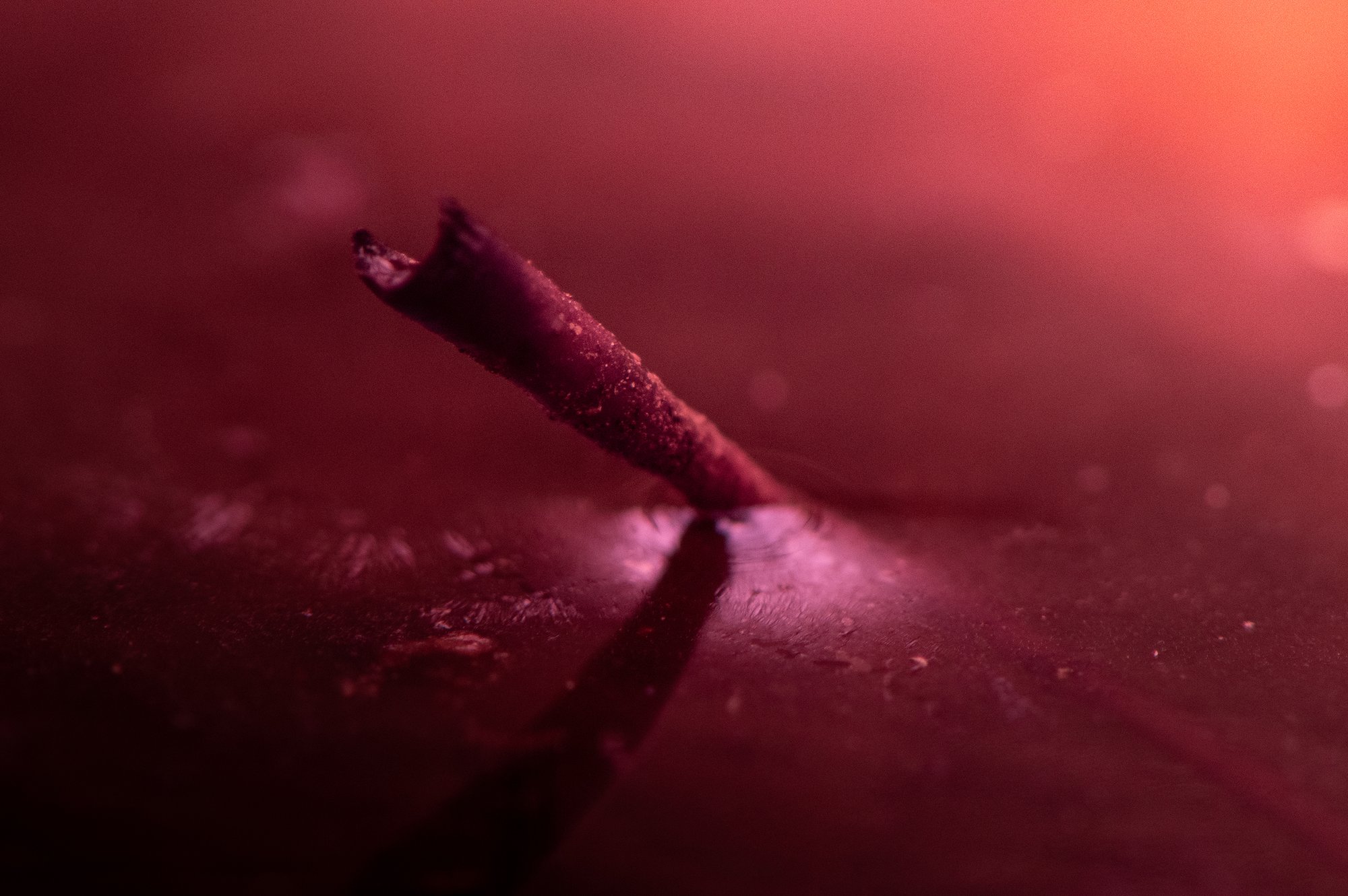 Cinnamon